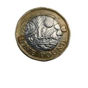 Queen Elizabeth II 2017 One Pound Coin