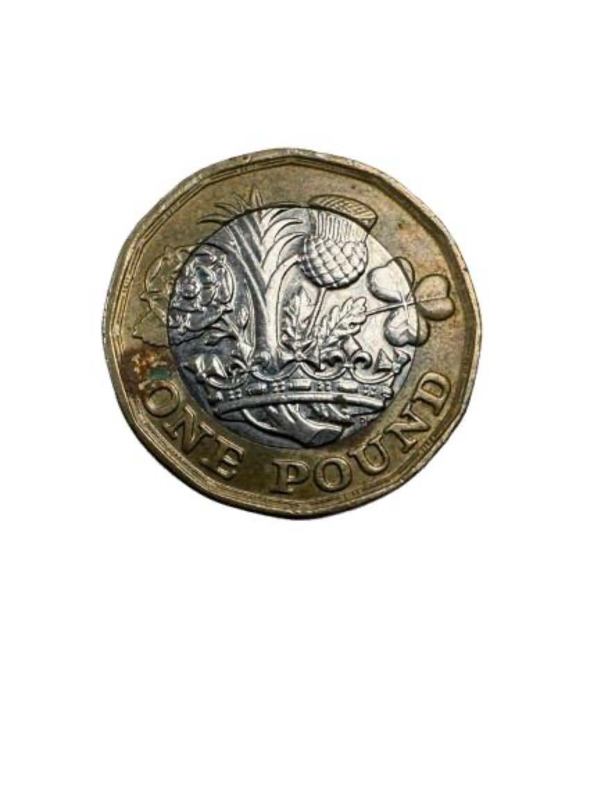 Queen Elizabeth II 2017 One Pound Coin